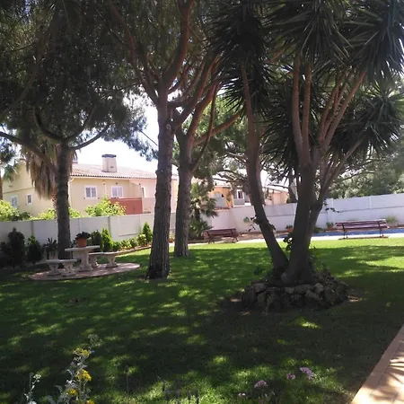 Villabeni فيلة